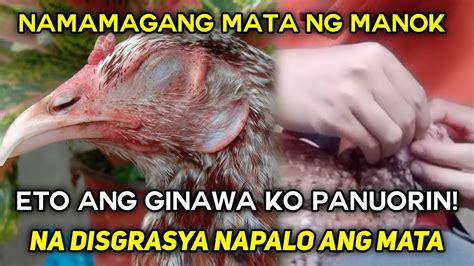 nag gagamot Po ko Ng paa Ng manok na namamaga .